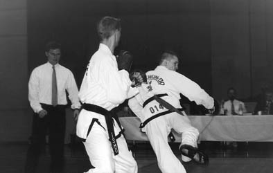 Back kick (394 x 250 jpeg 256) 16 k