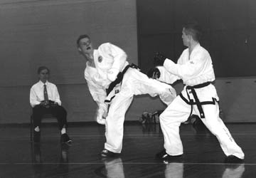 Sparring (360 x 250 jpeg 256) 16 k