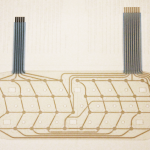 membrein Membrane