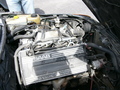 p1000239.jpg