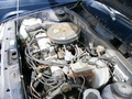 p1000287.jpg