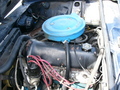 p1000294.jpg
