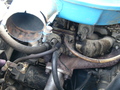 p1000295.jpg