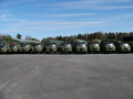 p1000307.jpg